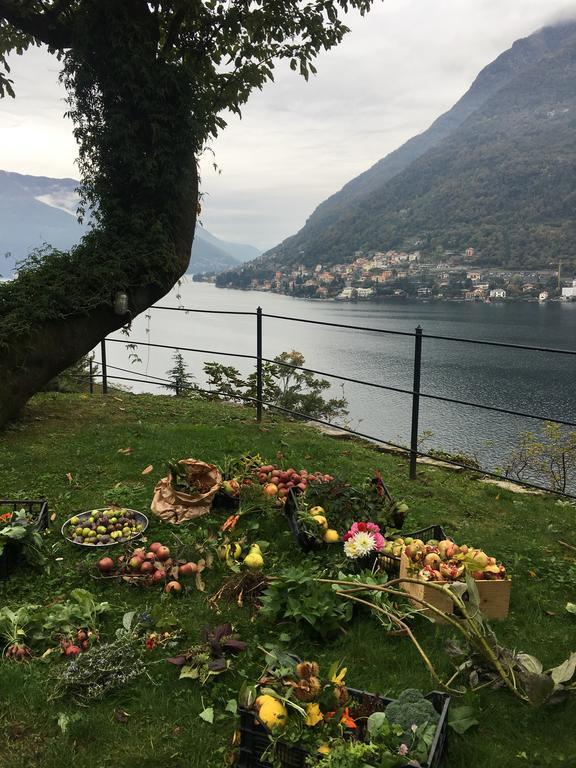 Casa Vacanza Castagna Nesso Luaran gambar