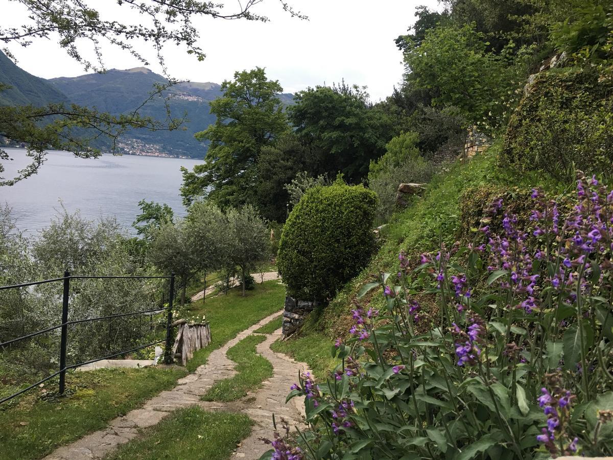 Casa Vacanza Castagna Nesso Luaran gambar